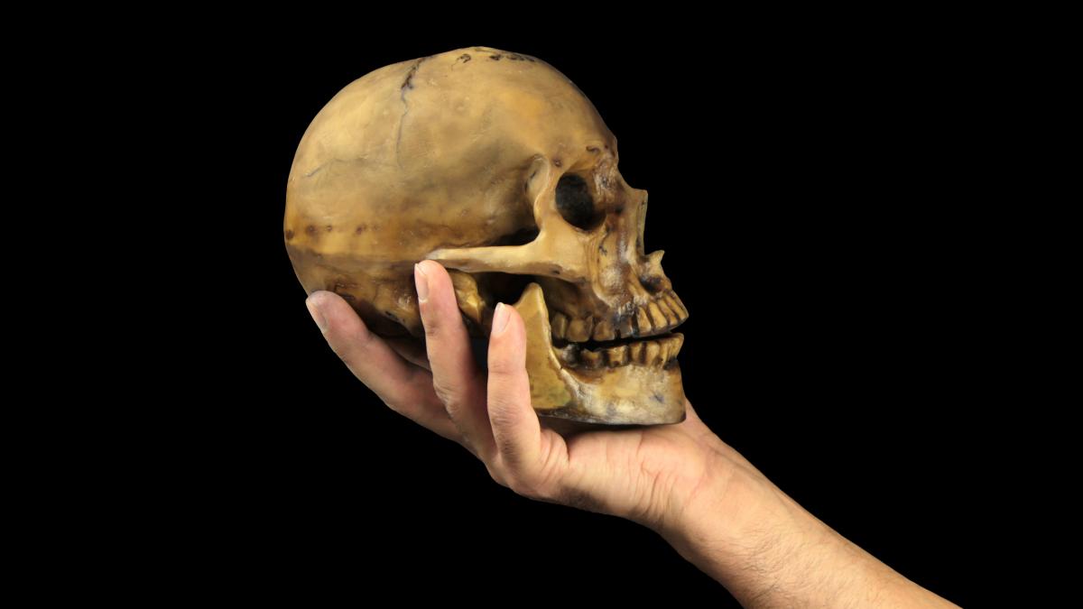 hand holding a skull with a black background