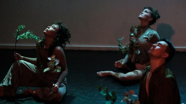 photo of dancers in a dark room