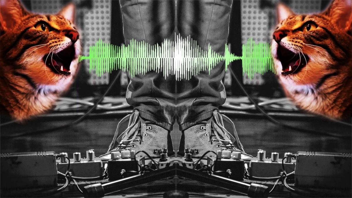 abstract image of two cats emitting sound waves