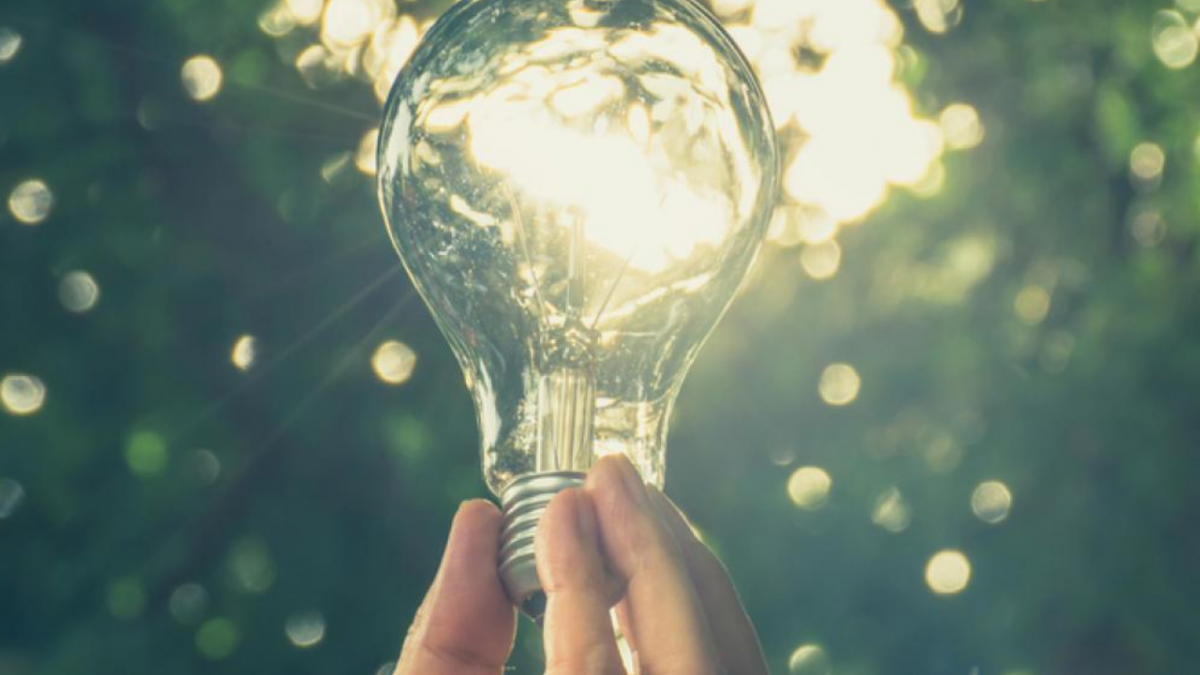 photo of a hand holding a light bulb