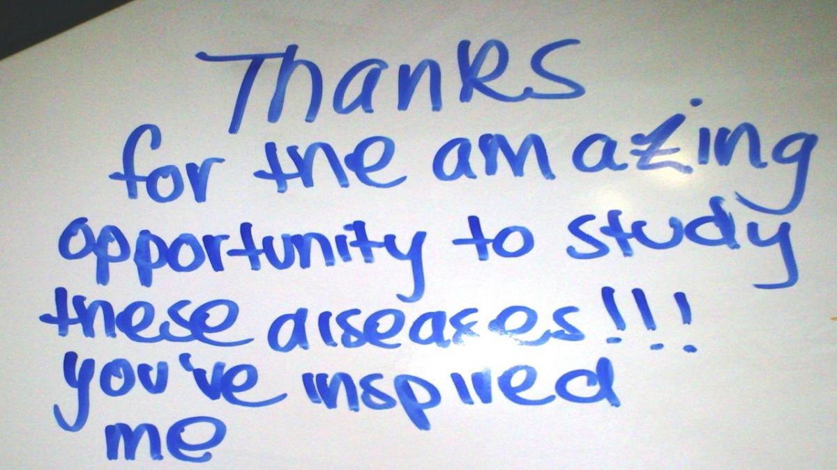Photo of writing on a board saying 'thanks for the amazing opportunity to study these diseases. You've inspired me.'
